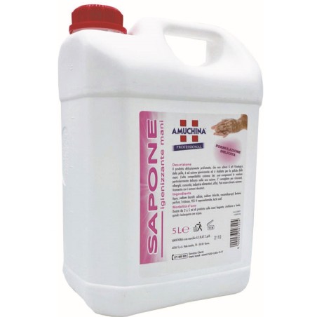 Amuchina sapone igienizzante  mani  5   lt 1 pz