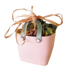 BORSETTA PLASTICA PORTA DOLCEZZE + 3 BISCOTTI LINDT  1 PZ