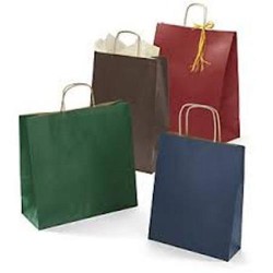 Busta manico ritorto colori forti assortita 18x8x24 12 pz