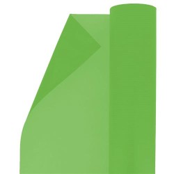 Carta Regalo Colore Verde N.764 70x110 10 Fl 1 Pz