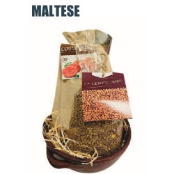 Casseruola 2 Manici Terracotta Professional "IL MALTESE" 15 cm  1 pz