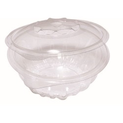 Contenitori monouso richiudubili in pet  SPTR 17,5X17.3X8.5 cc750 50 pz