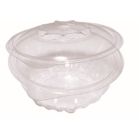 Contenitori monouso richiudubili in pet  SPTR 18,8X18,6X9,2 1000cc 50 pz