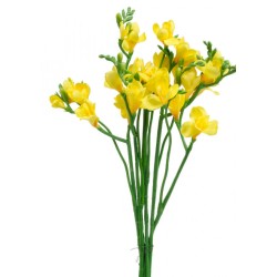 Fiore ranunculus giallo mazzetto cm 26 1 pz