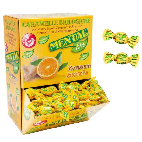 MARSUPIO MENTAL ZENZERO E ARANCIA BIO SFUSO GR 750  1 PZ