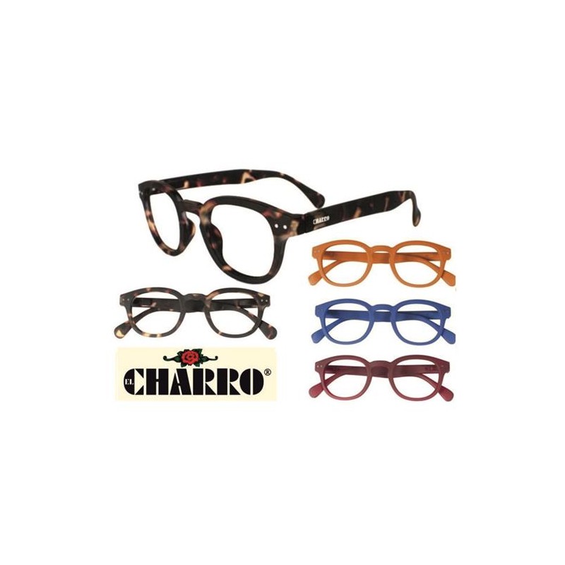 OCCHIALI MODELLI ASSORTITI  + 2.00 1 PZ