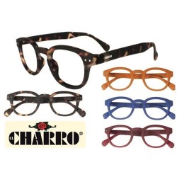 OCCHIALI MODELLI ASSORTITI  + 2.00 1 PZ