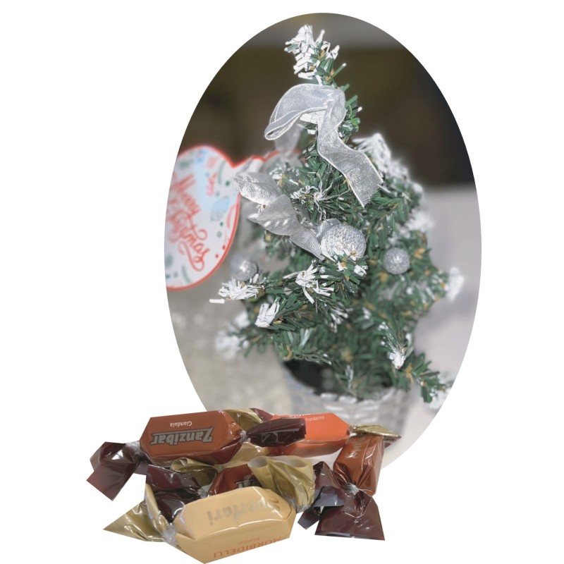 PIANTINA NATALIZIA +TORRONCINI SPERLARI ASSORTITI  50 GR 1 PZ