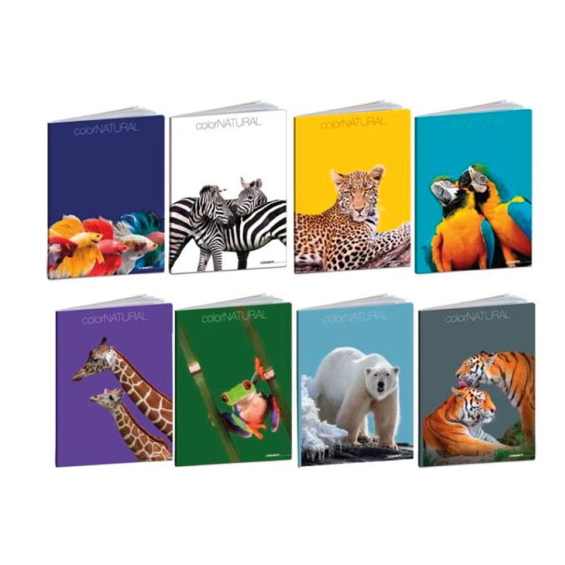 QUADERNO MAXI COLOR NATURAL  F 20+1  4F  7541 10 PZ