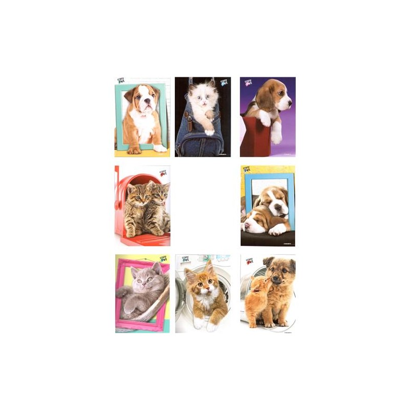 QUADERNO MAXI CUCCIOLISSIMI ART.8265 FG 20+1 80 GR RIGO 0B  10  PZ