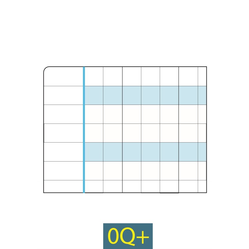 QUADERNO MAXI DISGRAFIA RIGO 0Q+ 100 GR FG 18+1  ART.7046 6 PZ
