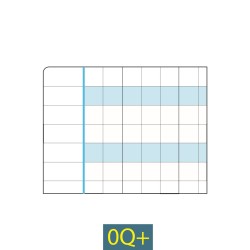 QUADERNO MAXI DISGRAFIA RIGO 0Q+ 100 GR FG 18+1  ART.7046 6 PZ