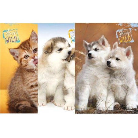 QUADERNO MAXI STAY WILD 0C 7321 10 PZ