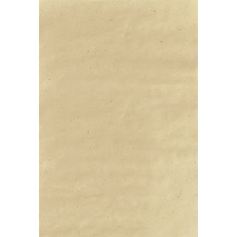 RUNNER CARTA FASHION SABBIA 80 GR 40X75 250  PZ