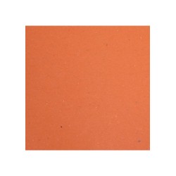 TOVAGLIE CARTA FASHION ARANCIO 80 GR  30X40  250 PZ