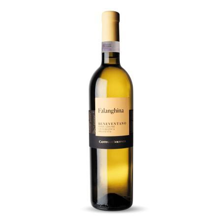 VINO FALANGHINA BENEVENTO IGP  12% CL 75 PZ 1