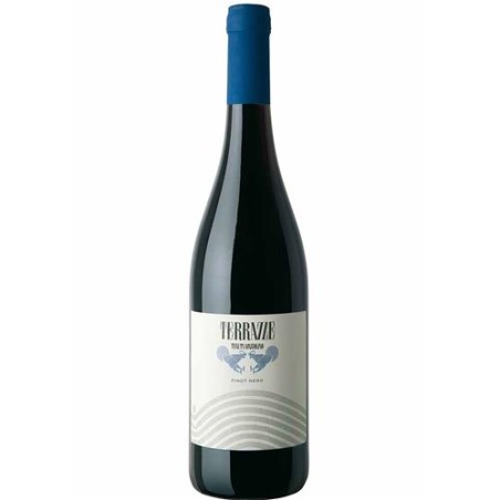 VINO PINOT NERO IGP TERRAZZE 13% CL 75 1 PZ