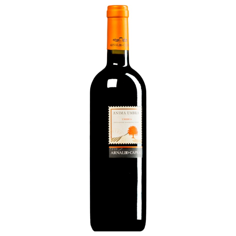 VINO ROSSO ANIMA UMBRA 2019 14.5 % CL 75 1 PZ